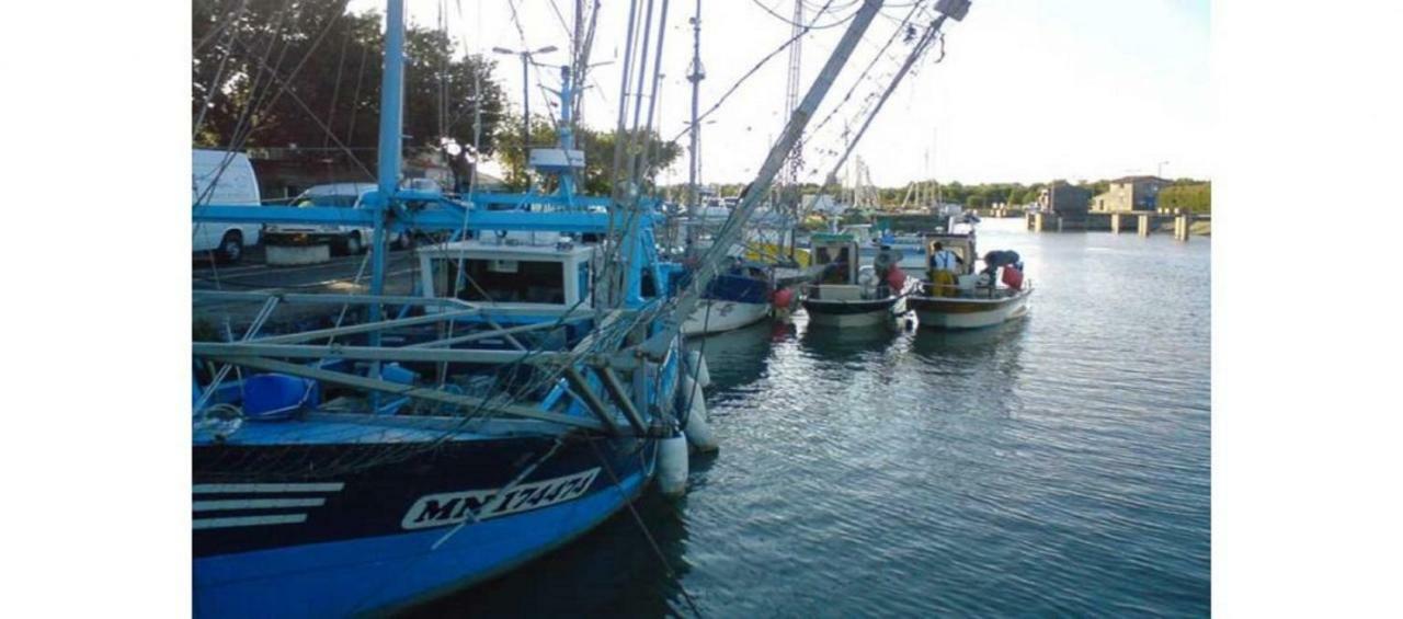 La Palombiere, Plage A 150M Meschers-sur-Gironde Εξωτερικό φωτογραφία